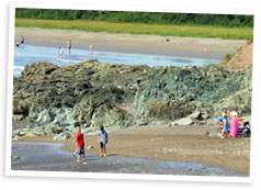 A group of people standing on top of a sandy beach.